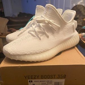 Yeezy boost 350 v2